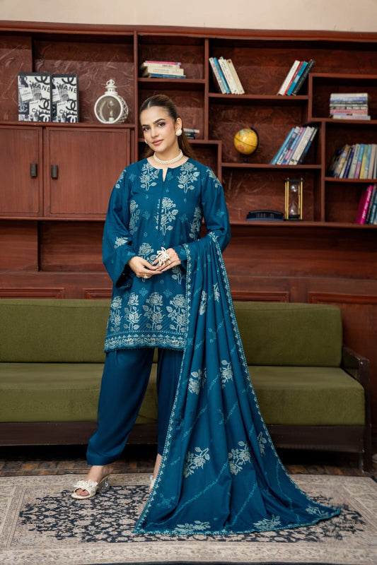 3 Piece Embroidered Karandi FV518