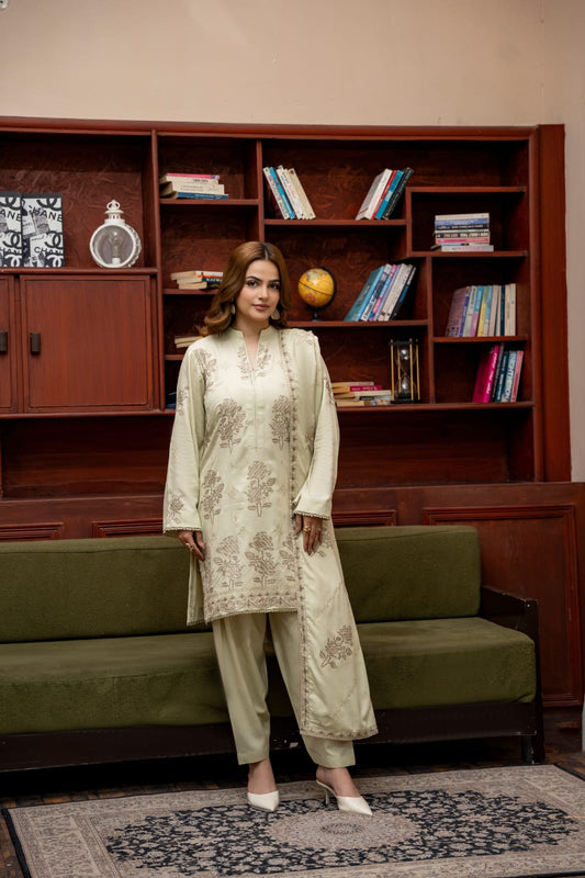3 Piece Embroidered Karandi FV518