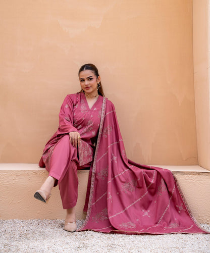 3 Piece Embroidered Karandi FV518